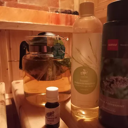 Guest house Edelweiss Cozy Cu Semineu, Sauna Si Terasa Brasov